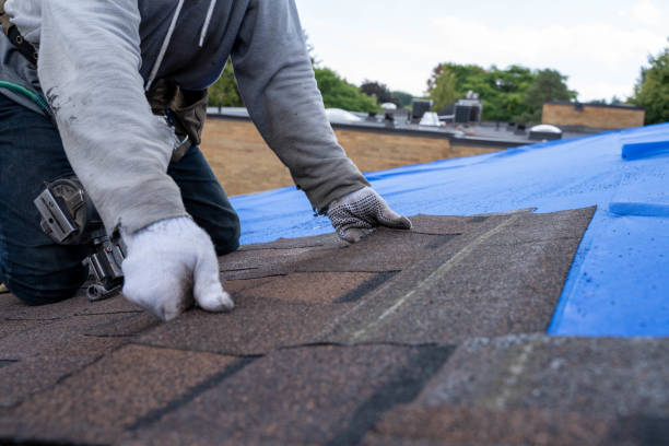 Best Residential Roof Replacement  in Shingle Springs, CA