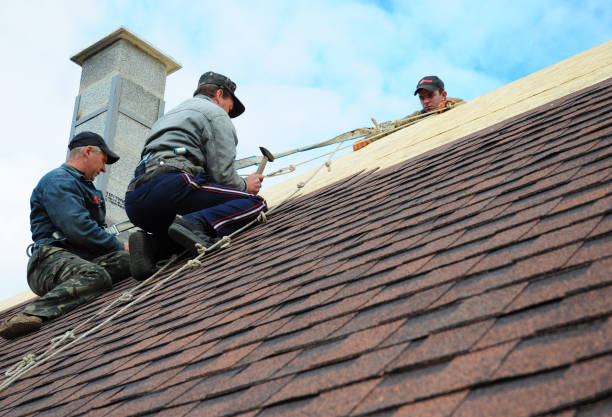 Professional Roofing Contractor in Shingle Springs, CA