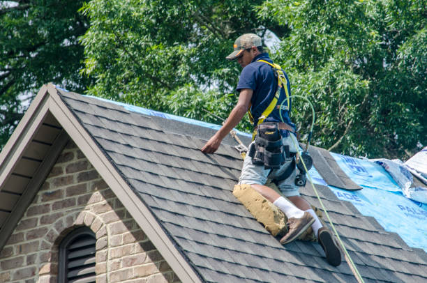 Quick and Trustworthy Emergency Roof Repair Services in Shingle Springs, CA