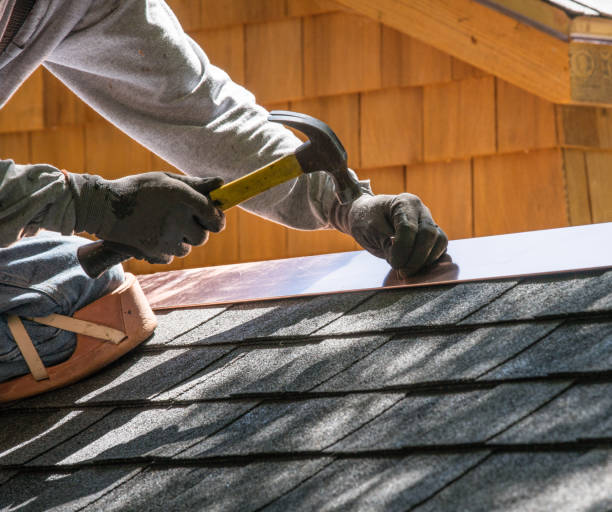 Best Roof Gutter Cleaning  in Shingle Springs, CA